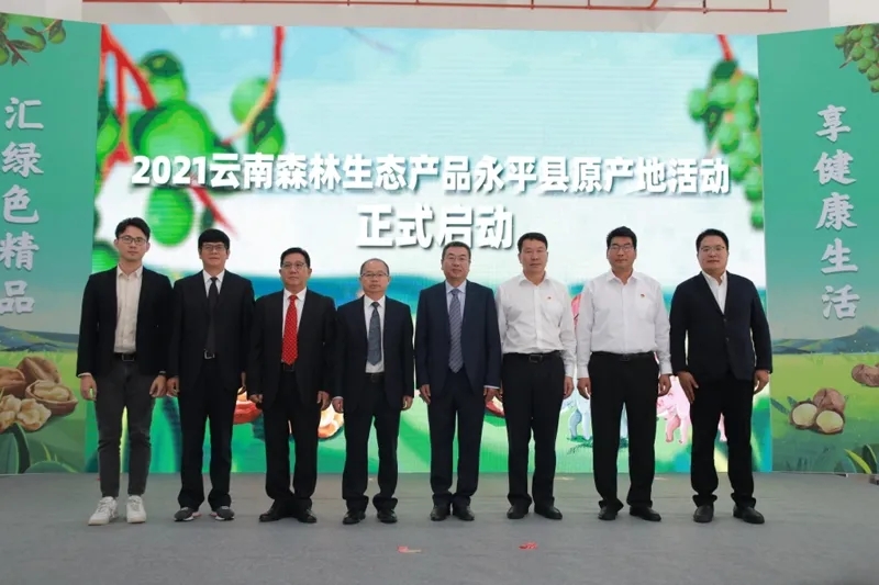 云南农垦集团立足原产地 擦亮“云南深纹核桃”金字招牌