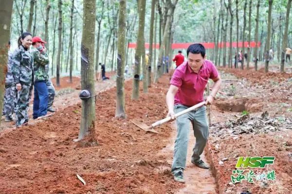 春时正好，海垦“以农为本”建设忙