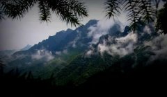 农垦情怀│大山苗圃地里的灯光